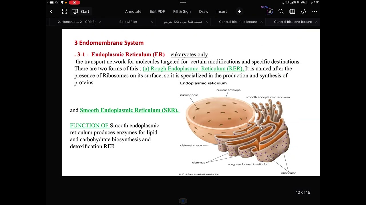 Lecture 2(part2)