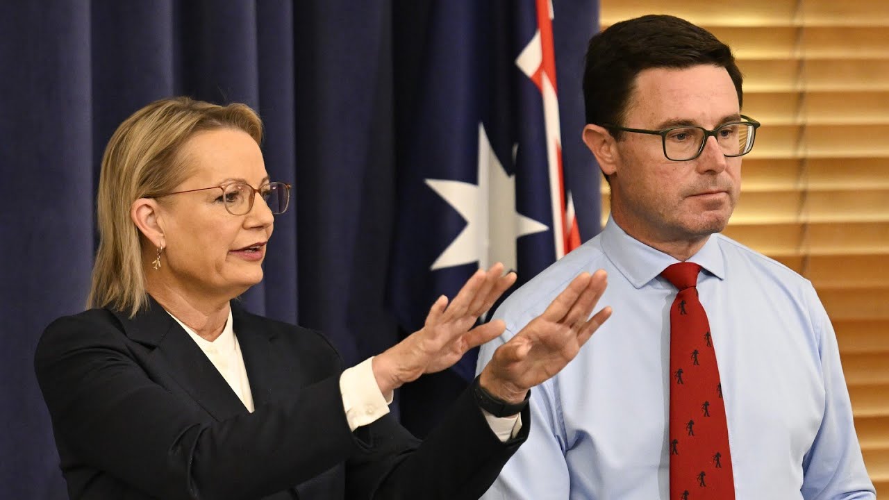 ‘Not how you operate’: Littleproud blasts 'untenable' Coalition under Sussan Ley