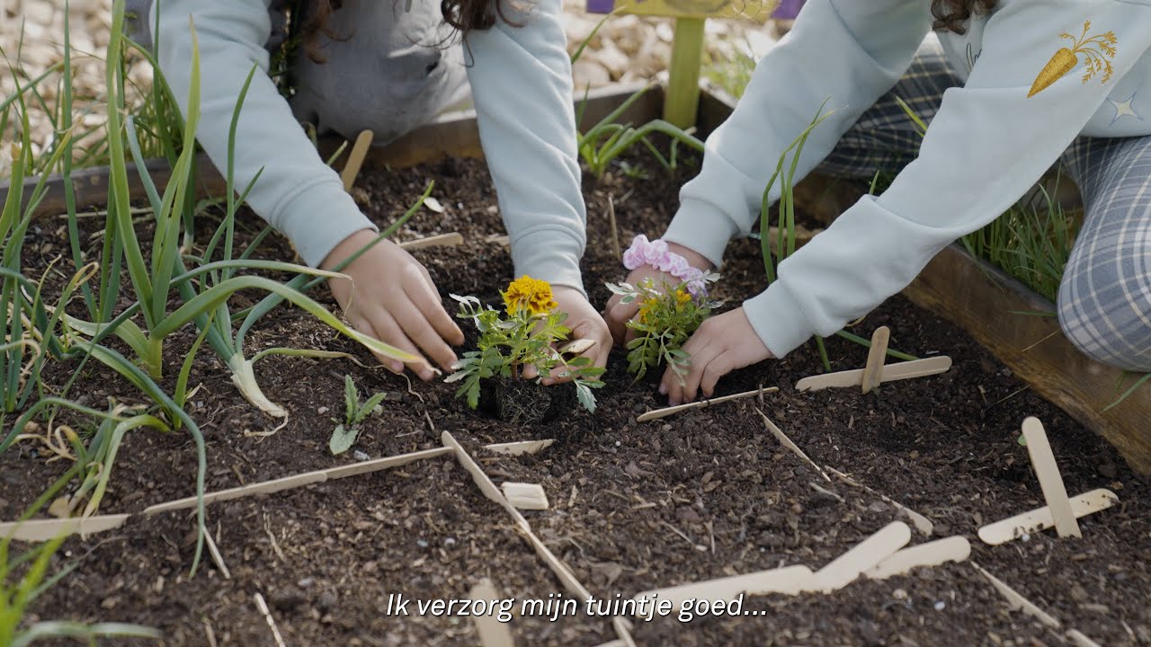 Stad & Natuur: Schooltuinenproject