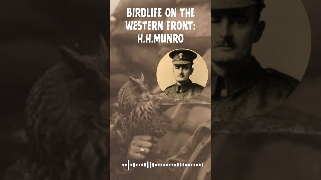 A #WW1 soldier - H.H.Munro (&lsquo;Saki&rsquo;) - describes birdlife on the Western Front in 1916.  #podcast.