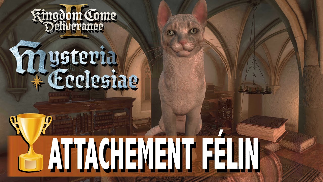 ATTACHEMENT F&Eacute;LIN - VOUS AVEZ INT&Eacute;RAGI &Agrave; PLUSIEURS REPRISES AVEC UN CHAT KINGDOM COME DELIVERANCE 2