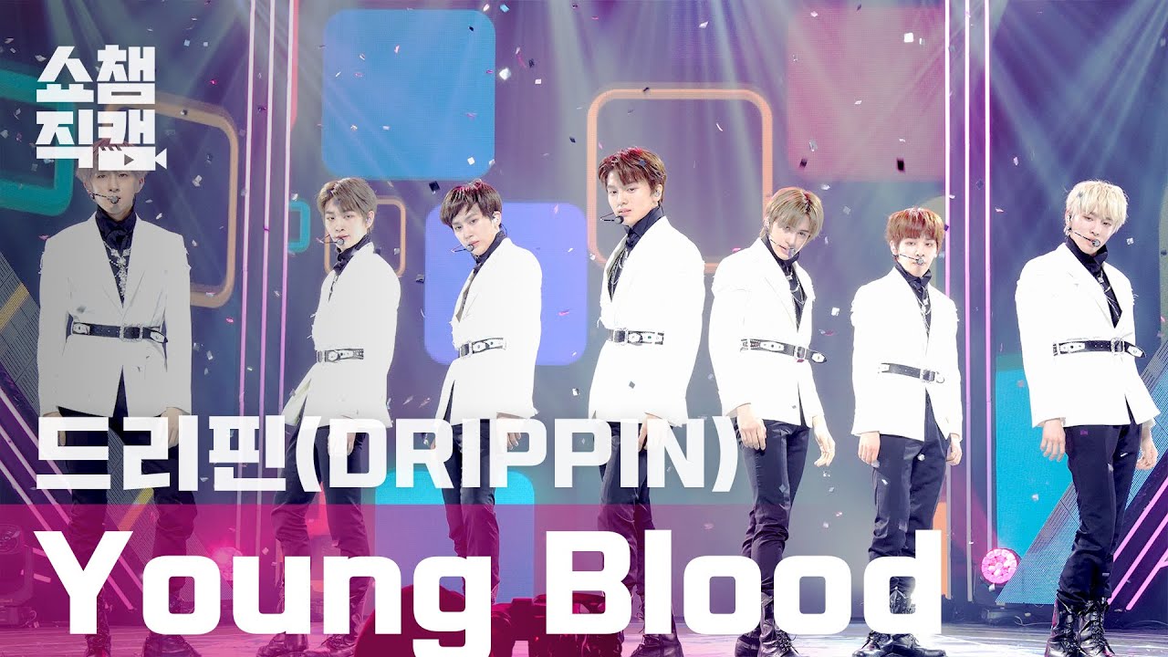 [쇼챔직캠 4K] 드리핀(DRIPPIN) - 영 블러드(DRIPPIN - Young Blood) l EP.388