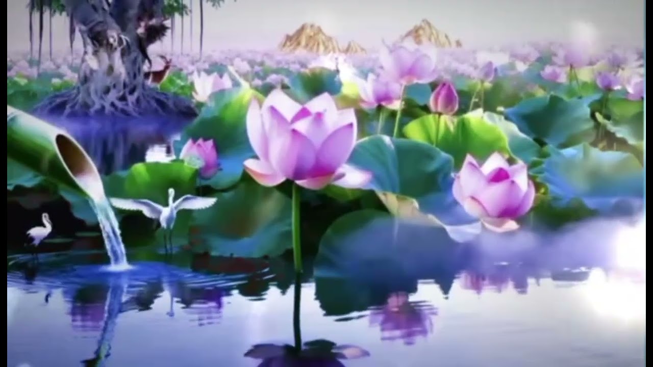 Nhạc Thiền Tĩnh Tâm Chữa Lành – Buông Lo, Nhẹ Tâm, Ngủ Ngon