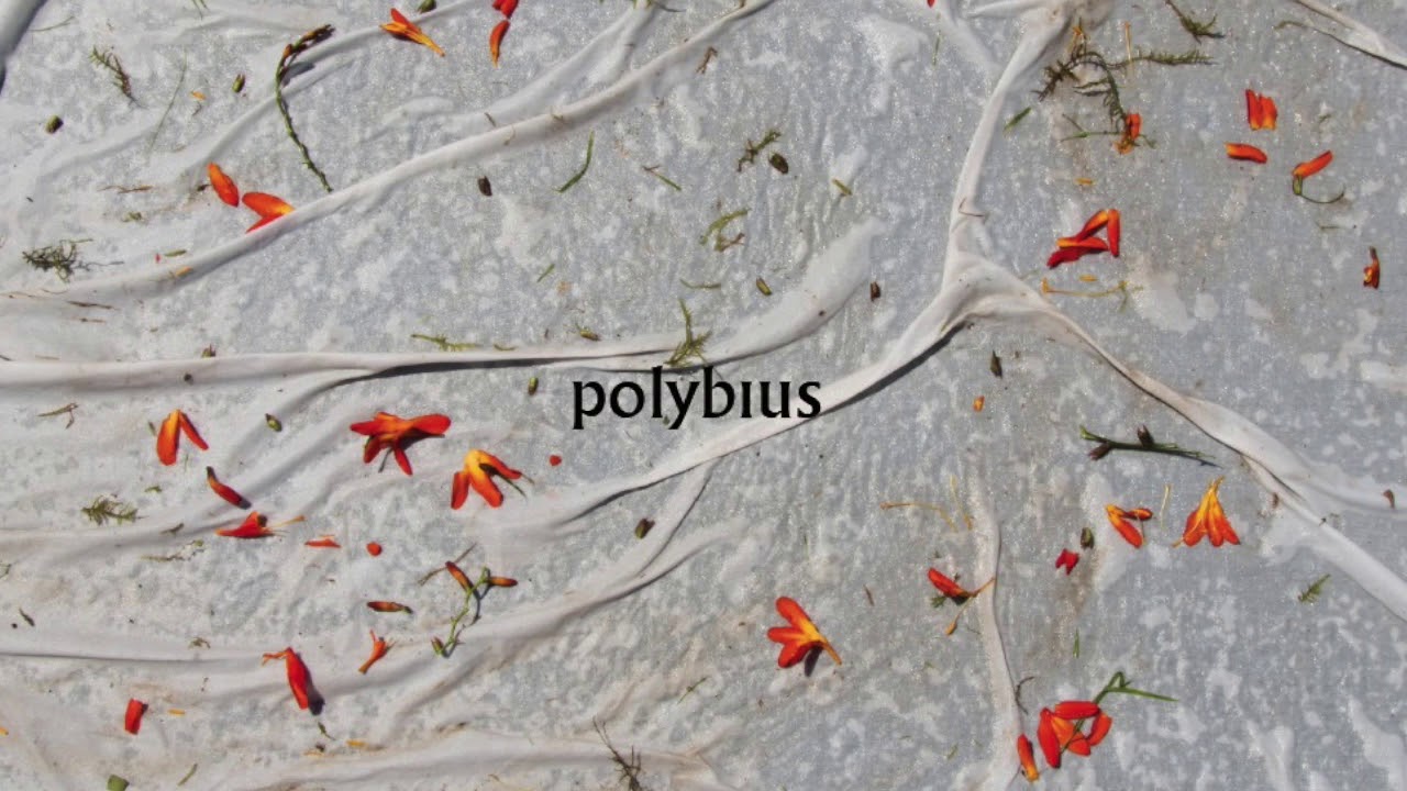 Polybius Bakoitzari berea (polybius taldea)