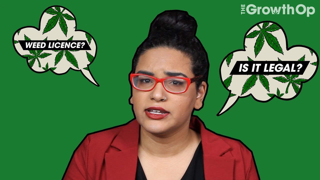 Can I get a licence to cultivate cannabis? | Is It Legal?