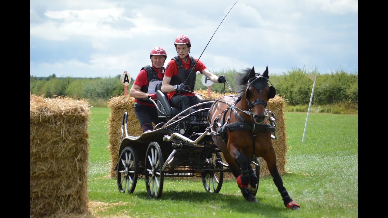 British Carriagedriving - An Introduction to the Marathon
