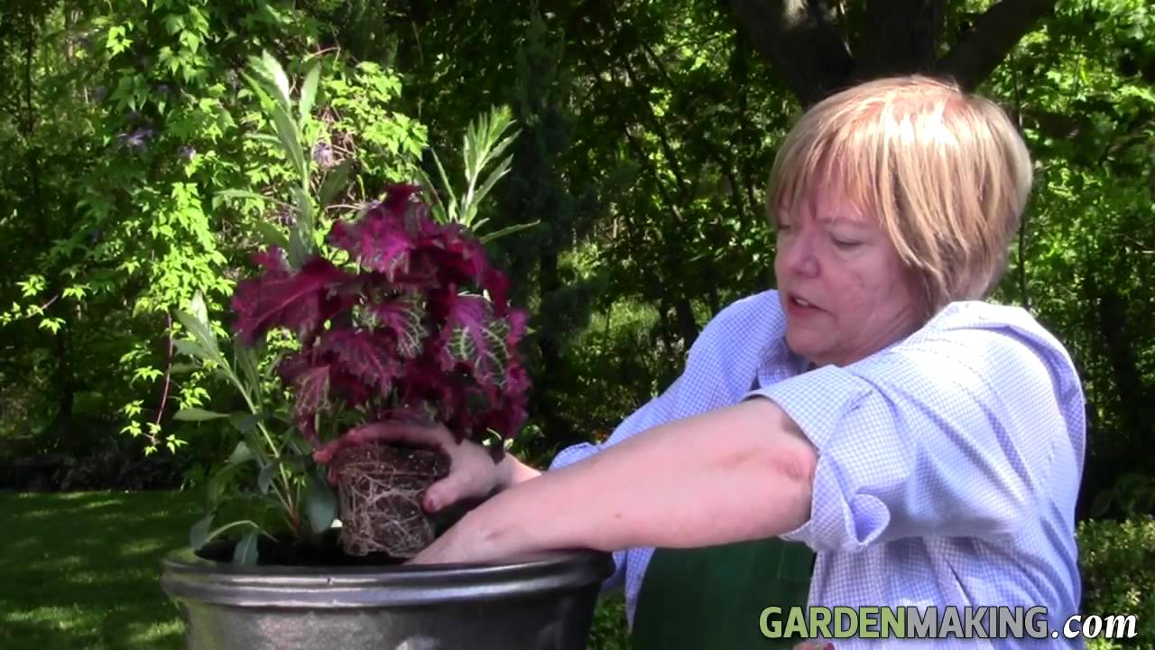 Container Gardening: How to design and plant a container, by Garden Making magazine