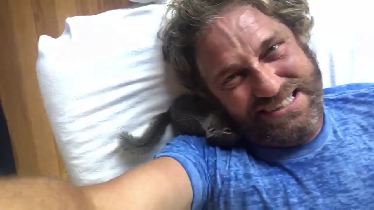 "Animal whisperer" Gerard Butler shares adorable video of him playing with squirrel