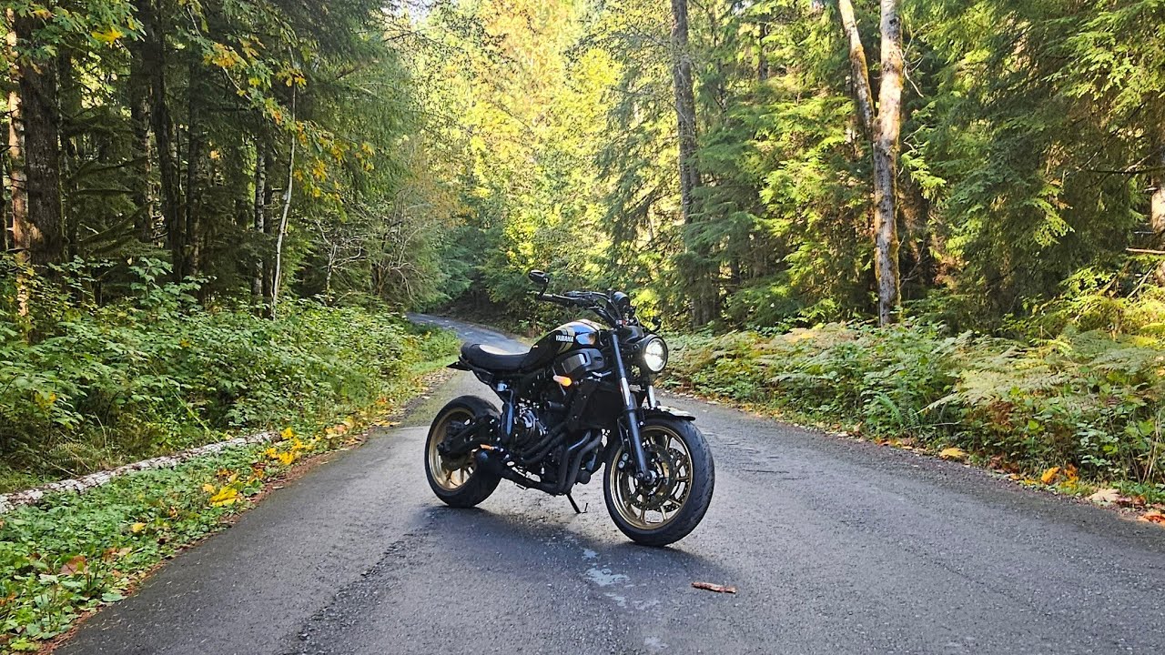 CP2 and Nature - XSR700 Pure Sound - PNW -