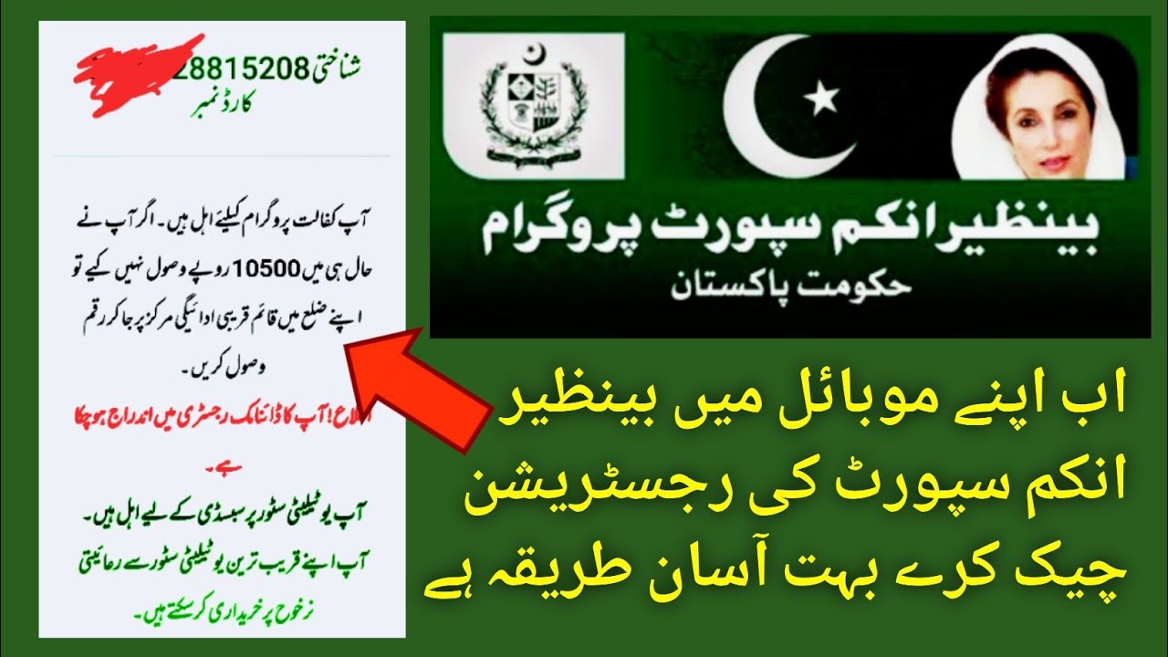 How To Check Benazir income support program Money 2024 | Benazir income Program ka Paise Check 2024