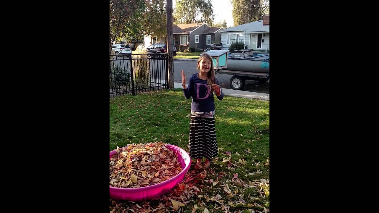 Delta Leaf Challenge 2015