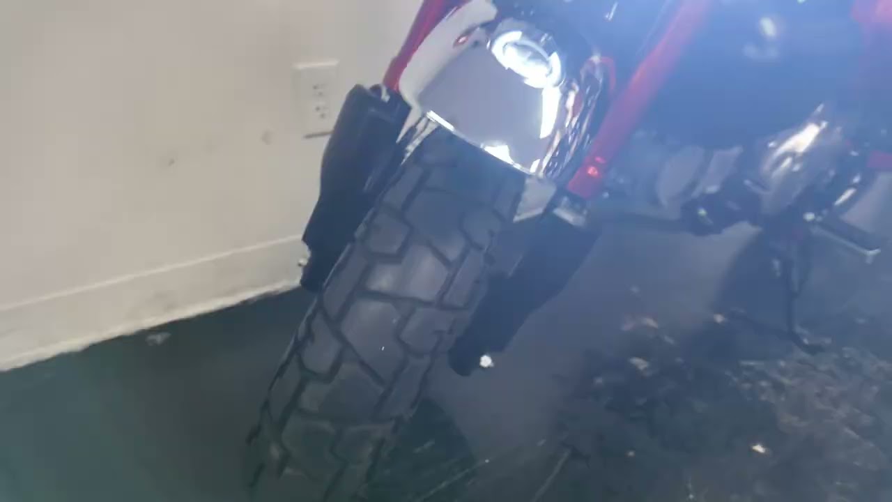 2021 HONDA MONKEY