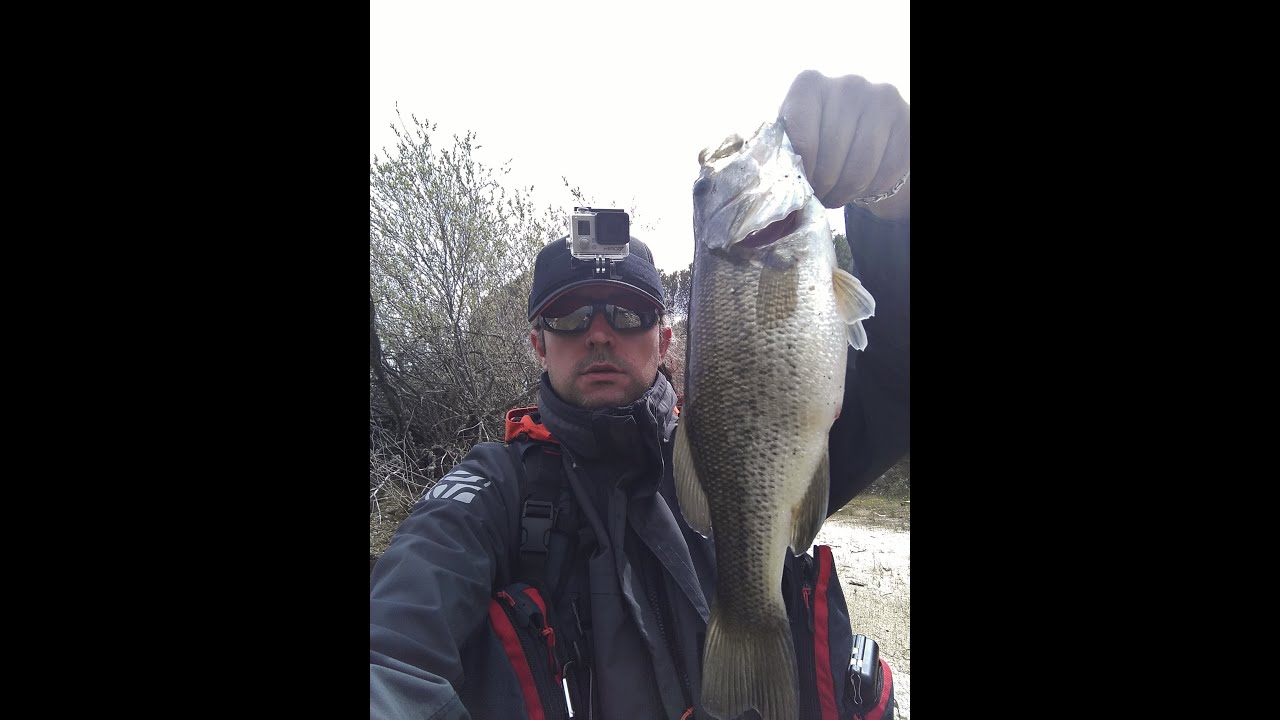 Pesca de 3 Black Bass en San Juan