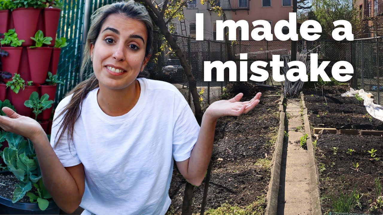 PLOT GARDEN UPDATE // Urban Gardening in NYC (Spring 2022)