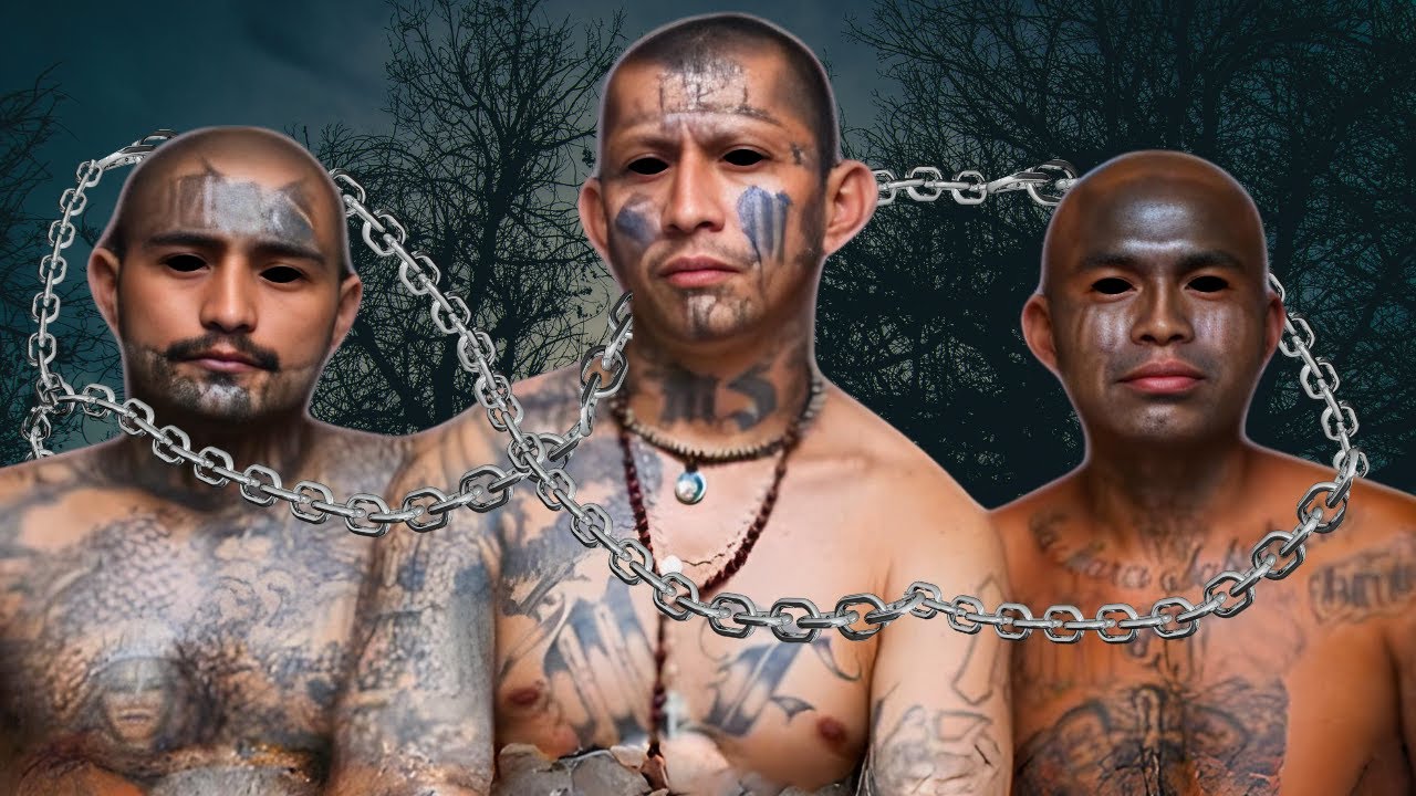 The World's Wealthiest Criminal Networks | MUST WATCH