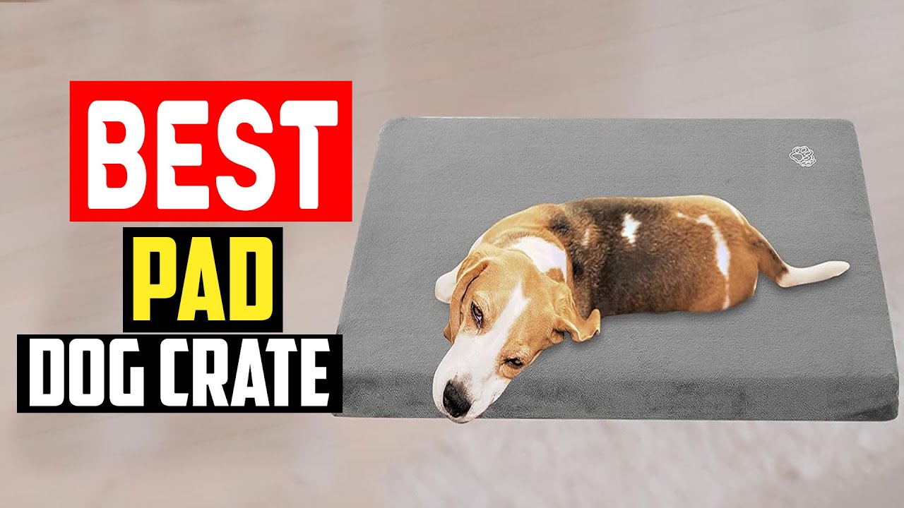 ✅Top 5 Best Pad For Dog Crate in 2024