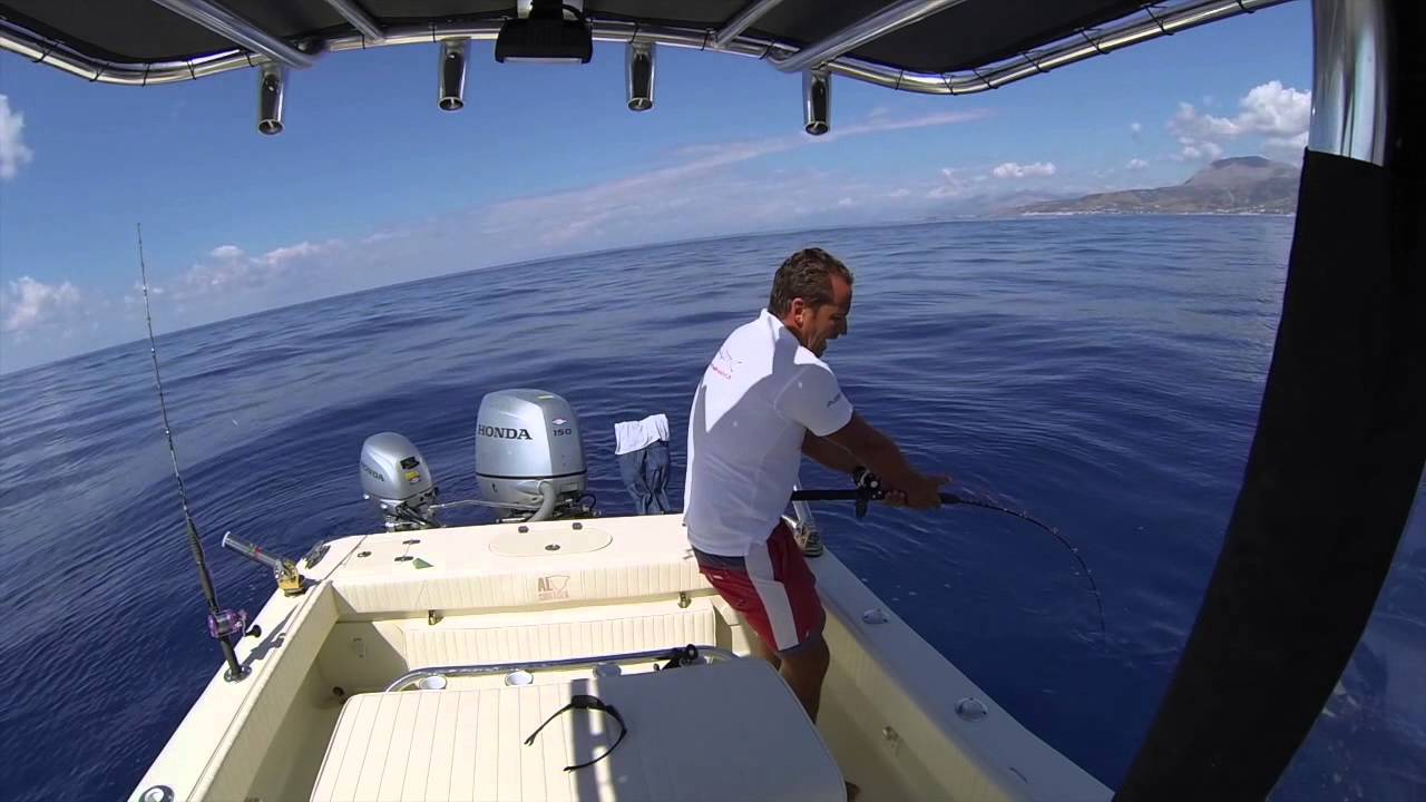 Una ricciola piccola ma