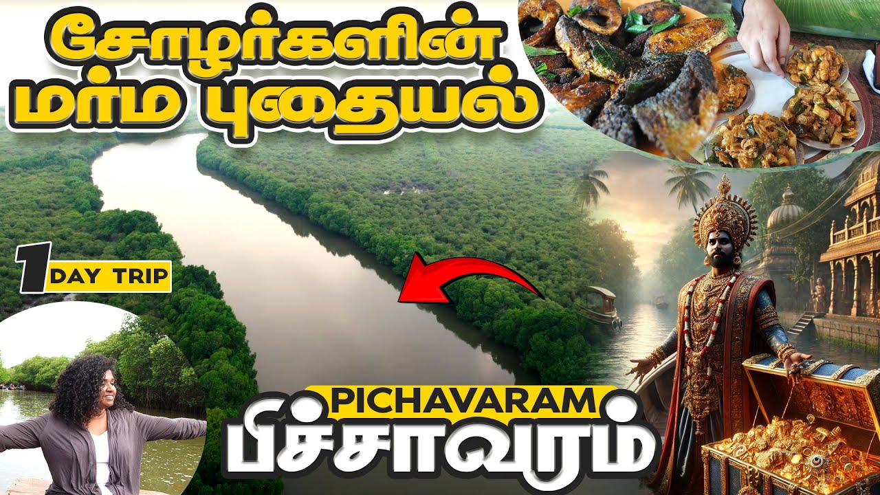 பிச்சாவரம் ரகசியம்  | Pichavaram Mangrove Forest Tour & Boating Guide | Hidden Gem of Tamil Nadu! |