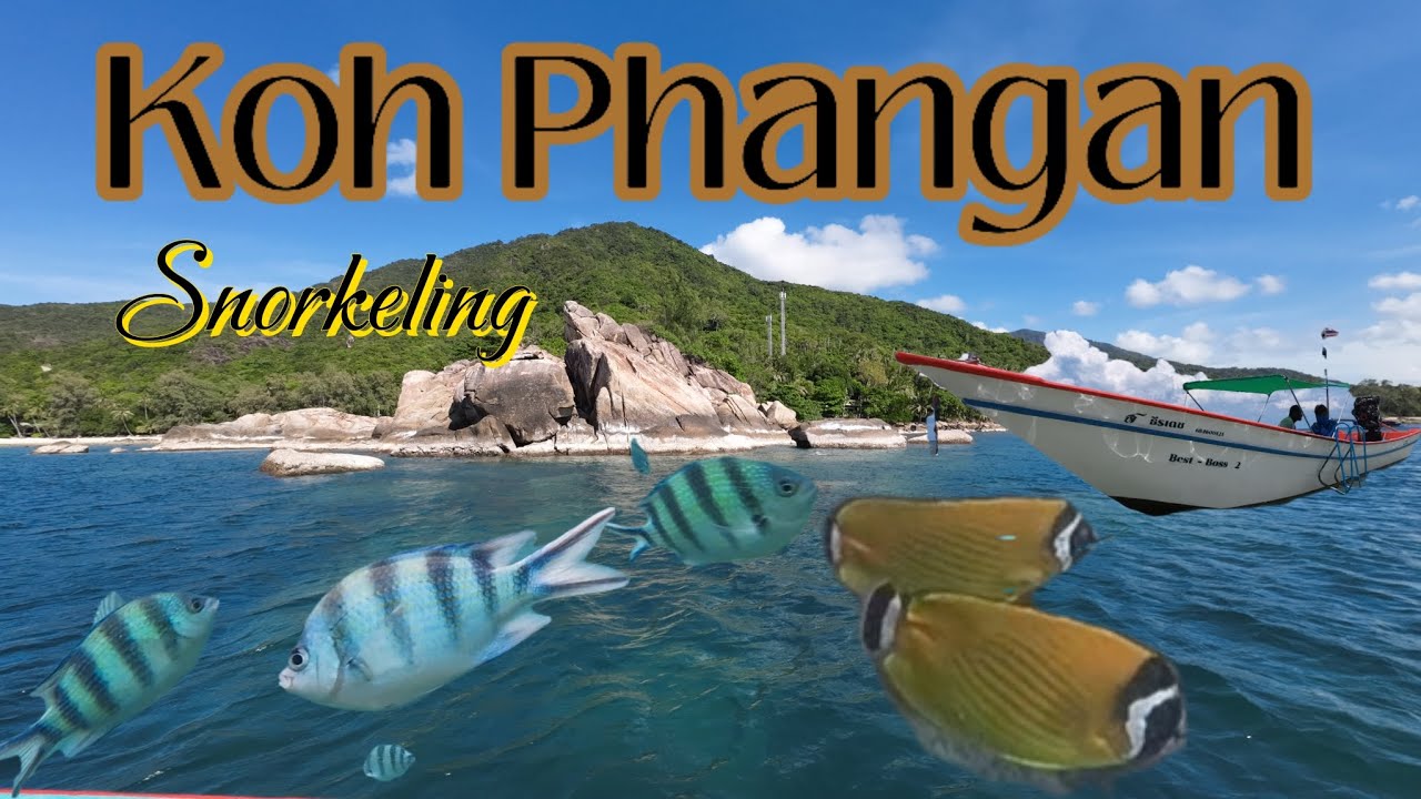 Koh Phangan: Snorkeling Paradise. เกาะพะงัน