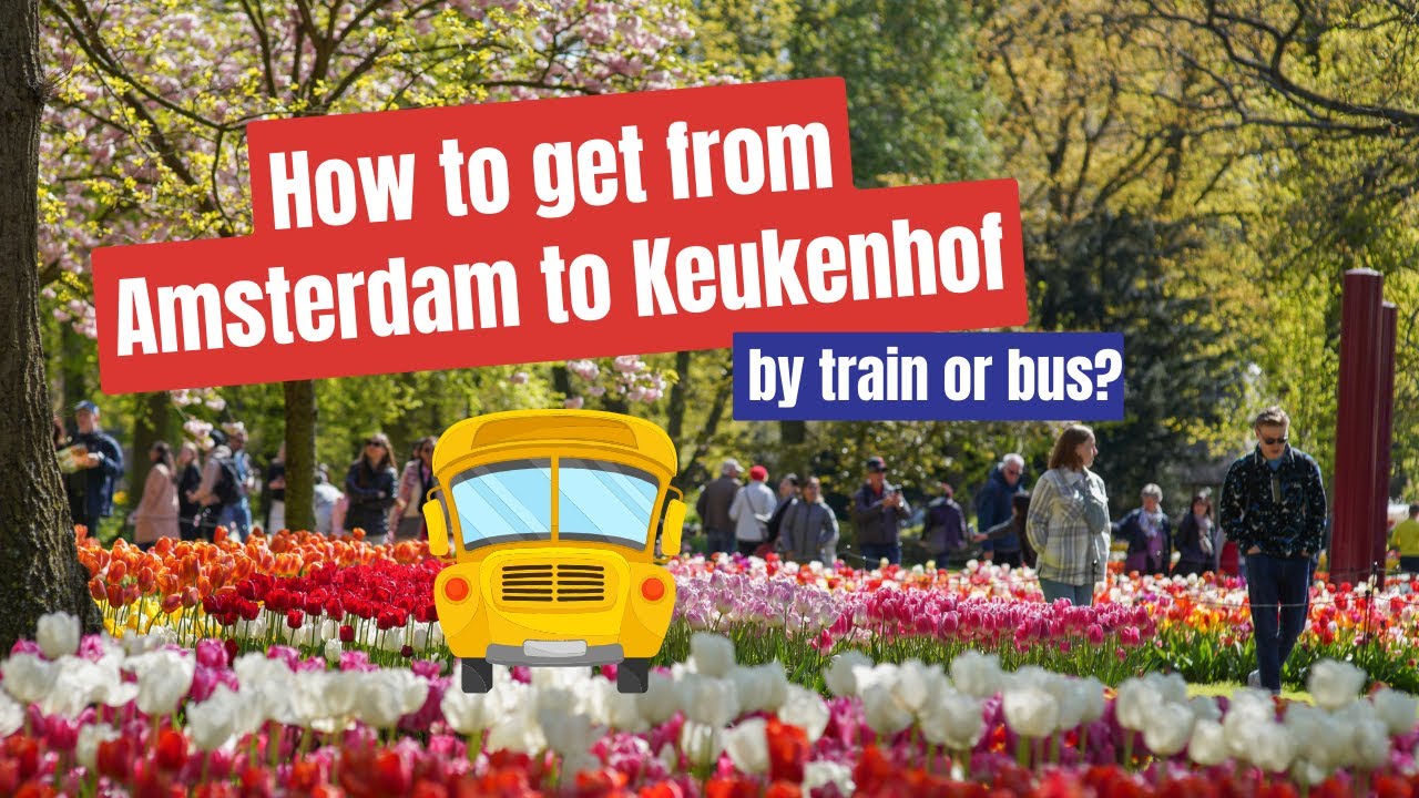 How to get from Amsterdam to Keukenhof? 🇳🇱  Tips on how to get to Keukenhof by train or bus. 🚌