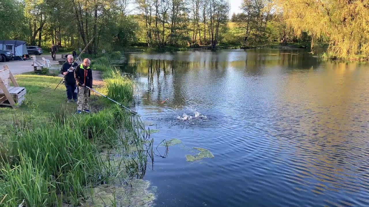 Velkommen til Hvilested / Willkommen bei Hvilested / Welcome at our trout lakes.