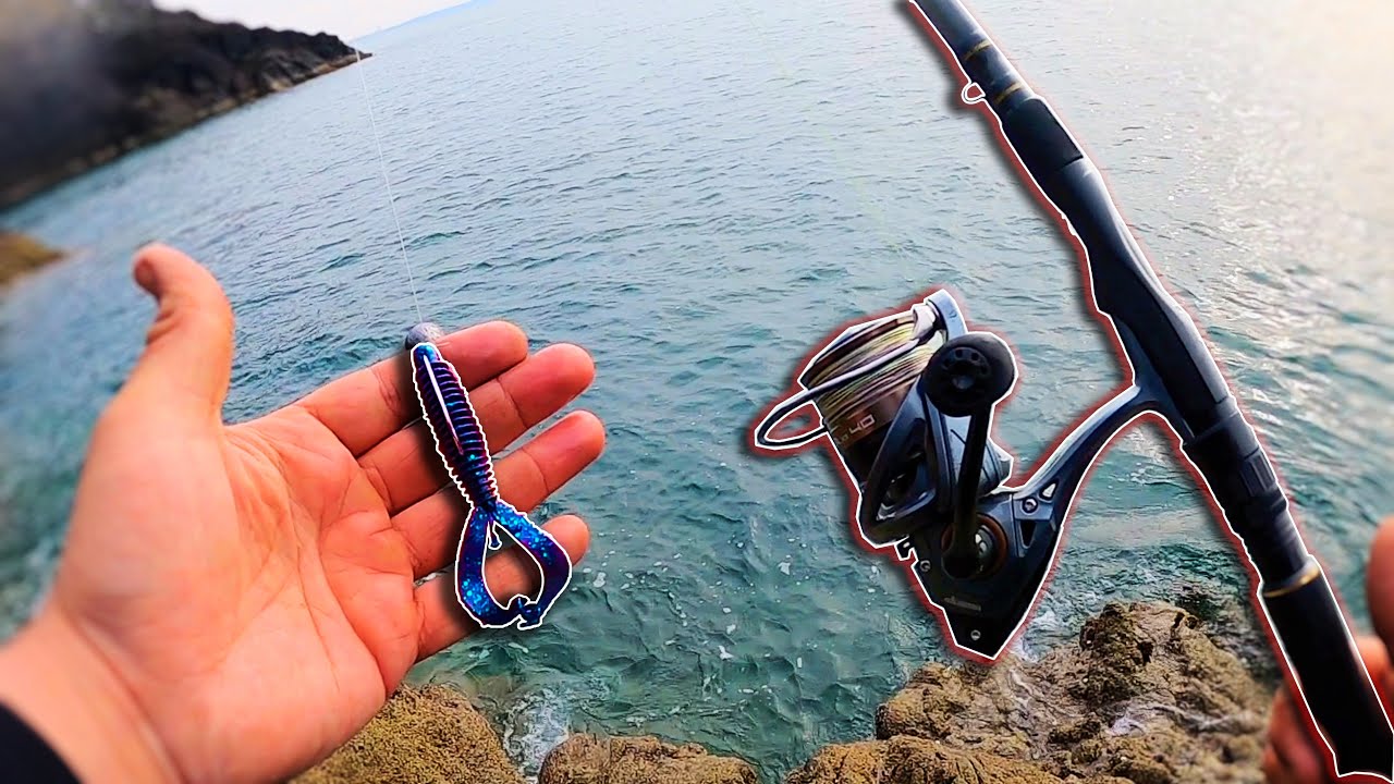 Wrasse Fishing off the Rocks with Creature Baits! (Westin Ringcraw)