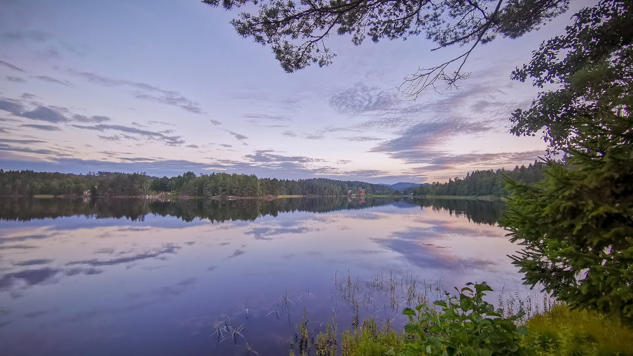 Hvordan spille Reodors Ballade på et blues munnspill og hvorfor du IKKE burde gjøre det