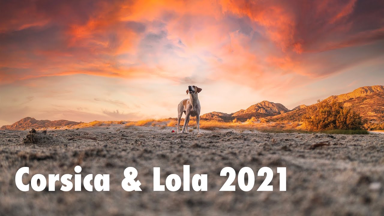In Corsica con la mia cagnolina Lola