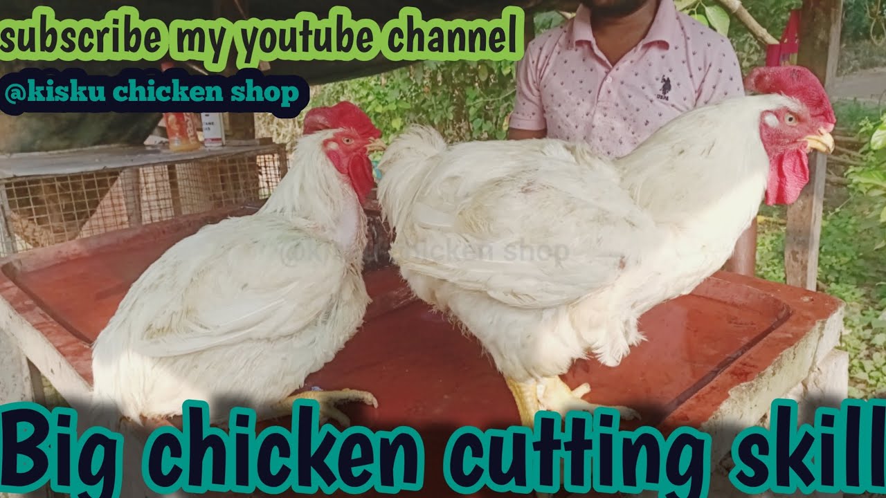 Big chicken cutting skill // How to cut a whole chicken @kisku chicken shop