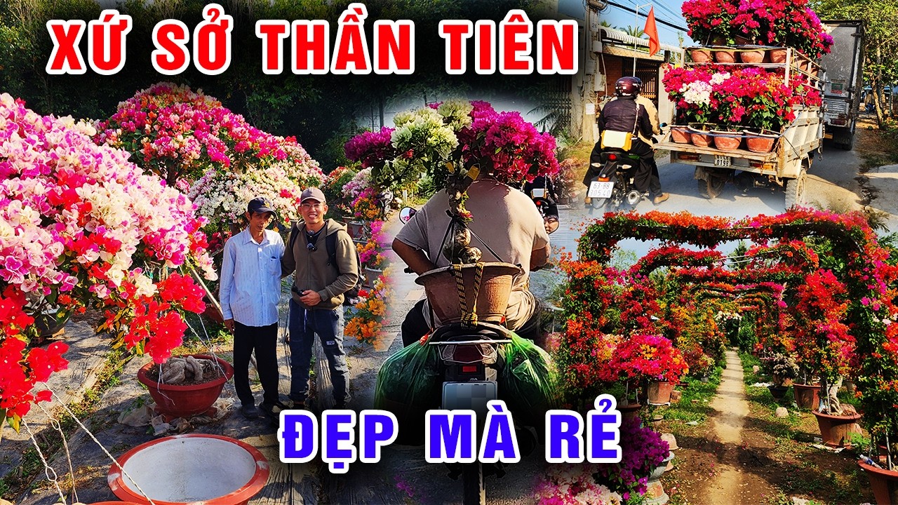 Lạc lối giữa ngôi làng hàng triệu hoa giấy như 