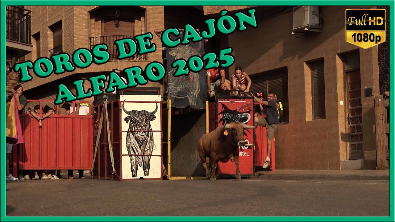 TOROS DE CAJÓN ALFARO 2025 (17-8-25)