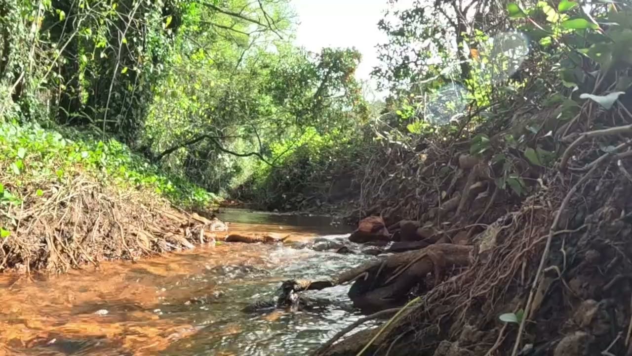 Calm Water Stream 