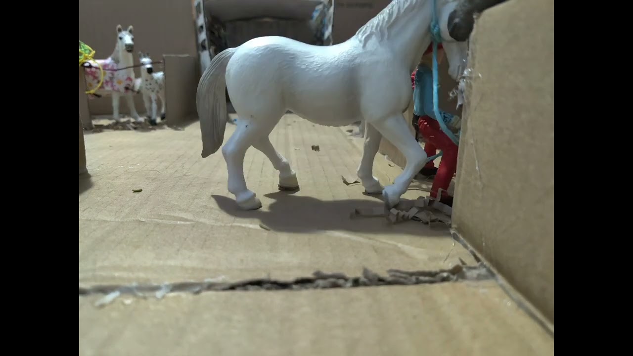 Stop motion of (