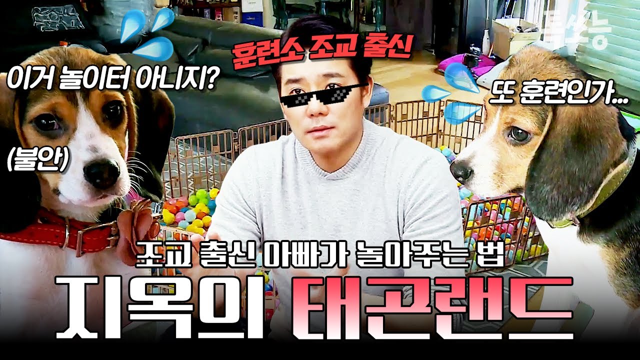훈련소 조교 출신 이태곤이 비글 남매를 놀아주면 일어나는 일🔥 | #개밥남