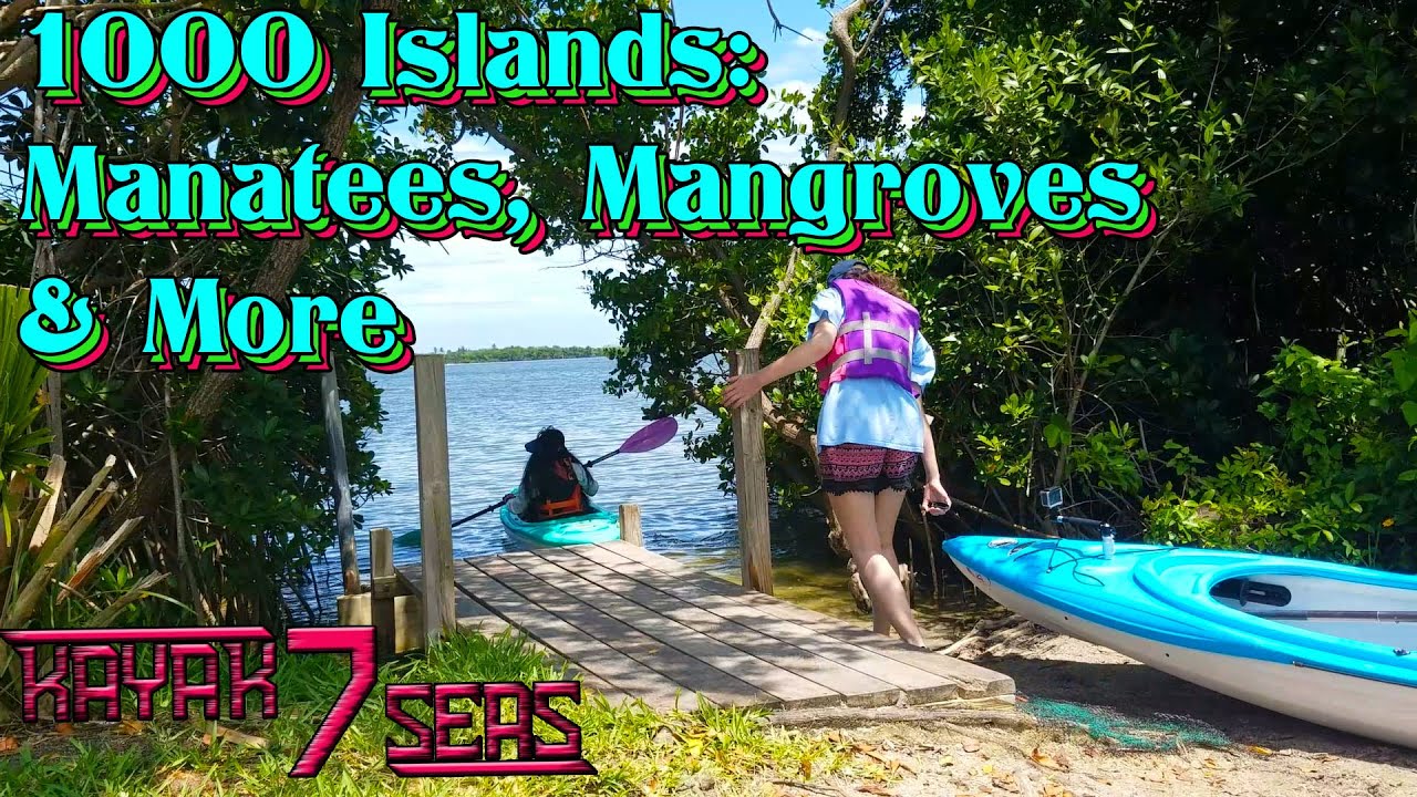 Summer Sea-Esta: 1000 Islands, Cocoa Beach - Manatees, Mangroves & More. Adventures in Kayaking