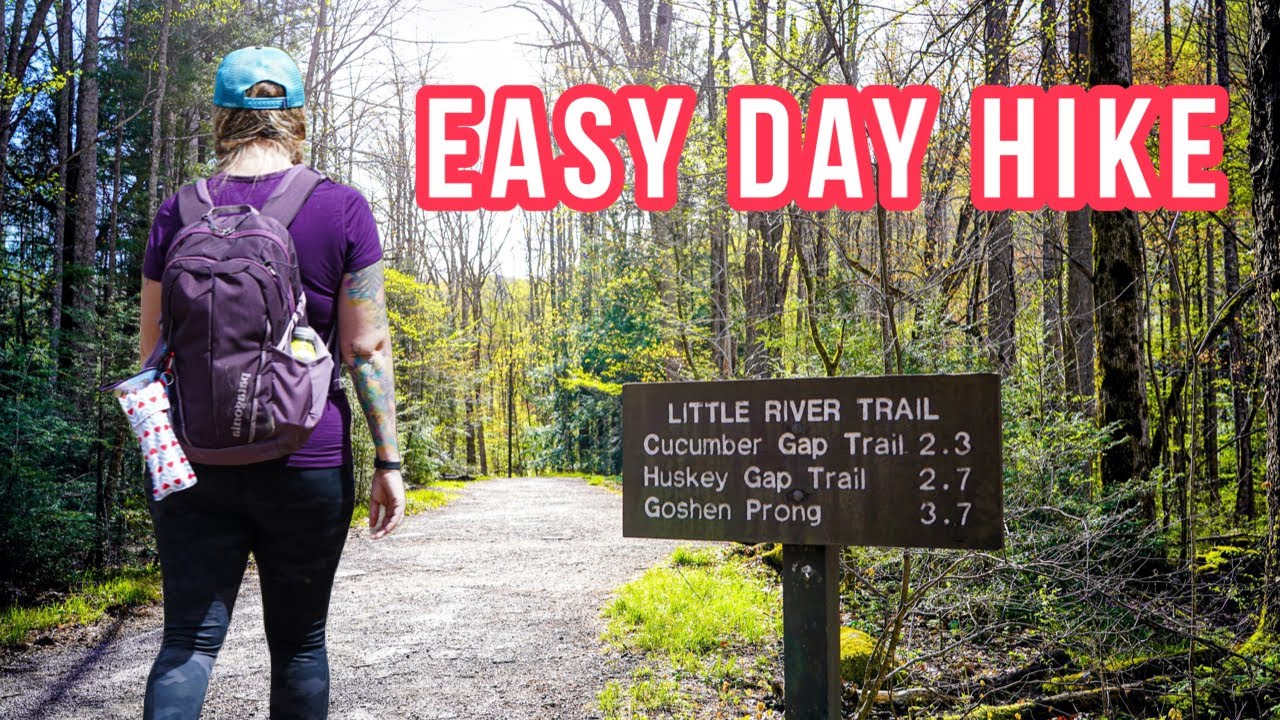 EASY day hike in the Smoky Mountains 