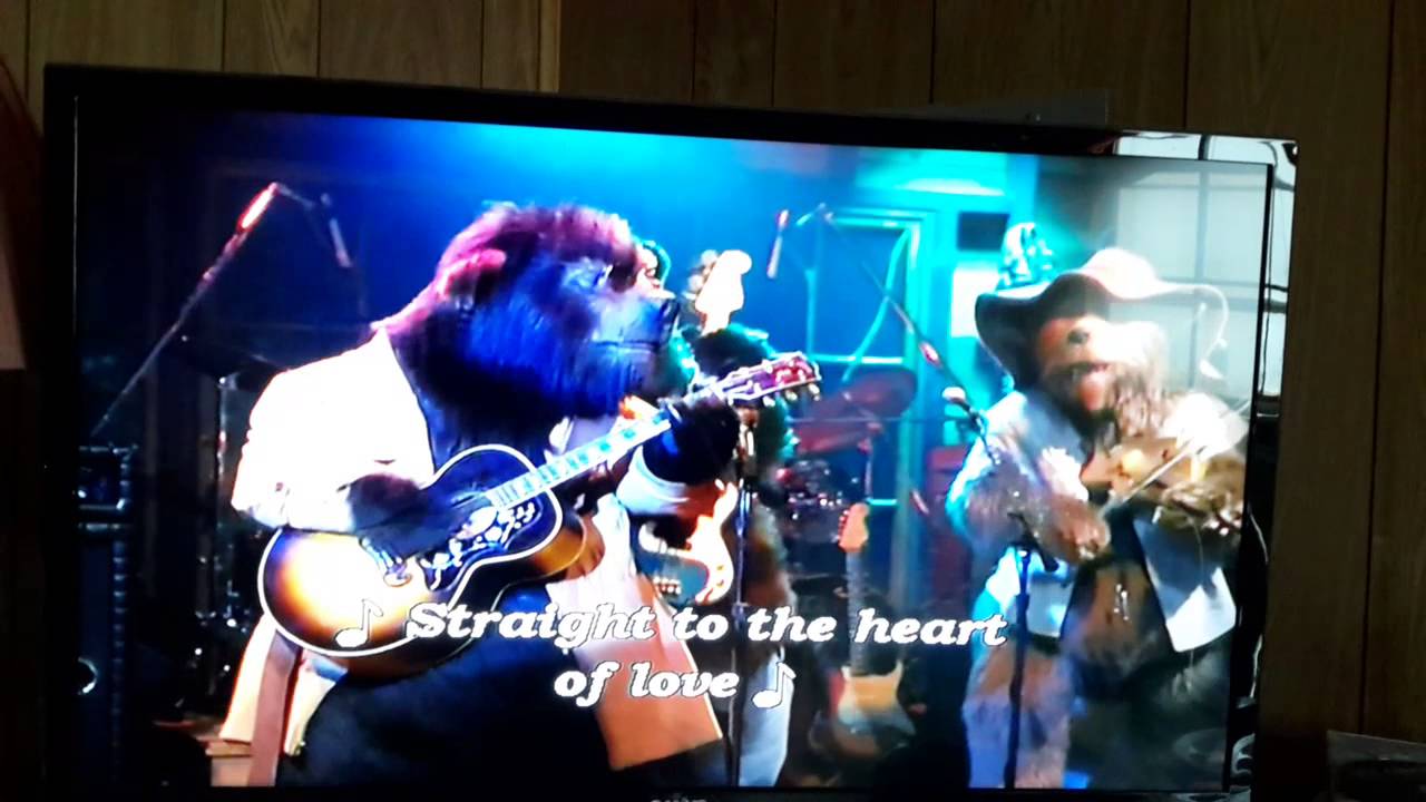 THE COUNTRY BEARS