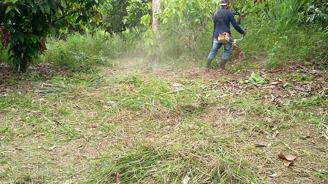 Roçando com Sthil 220..
