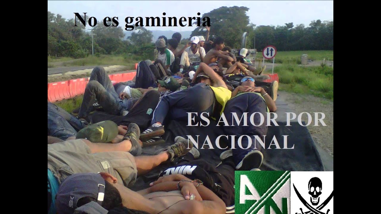 Vamos piratas la banda pirata