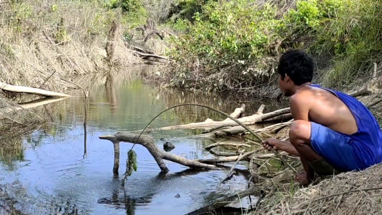 PARIT PINGGIRAN JALAN YANG TERABAIKAN JUSTRU MENJADI SARANG BAGI IKAN MONSTER...