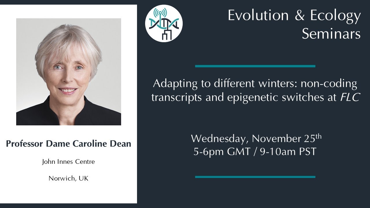 [Caroline Dean] Adapting to different winters: non-coding transcripts and epigenetic switches at FLC