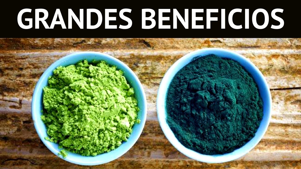 7 BENEFICIOS del ALGA ESPIRULINA: anemia, hipertensión, diabetes y antioxidante