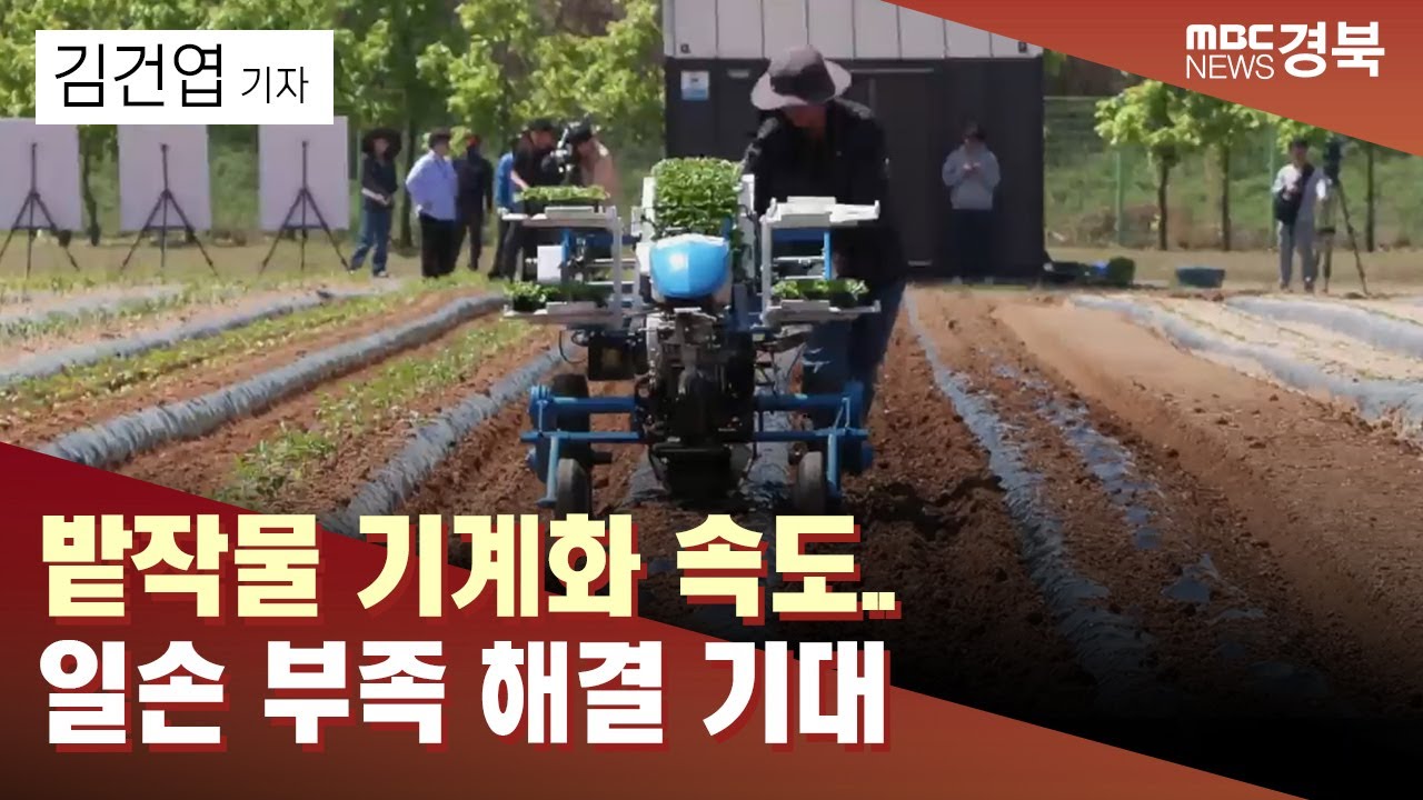 [R]밭작물 기계화 속도..일손 부족 해결 기대 / 안동MBC