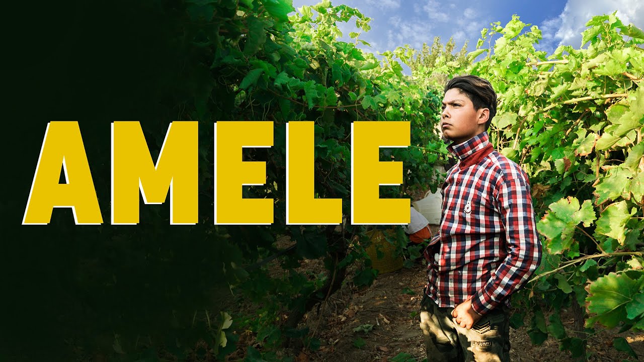 AMELE (Mevsimlik Hayatlar)