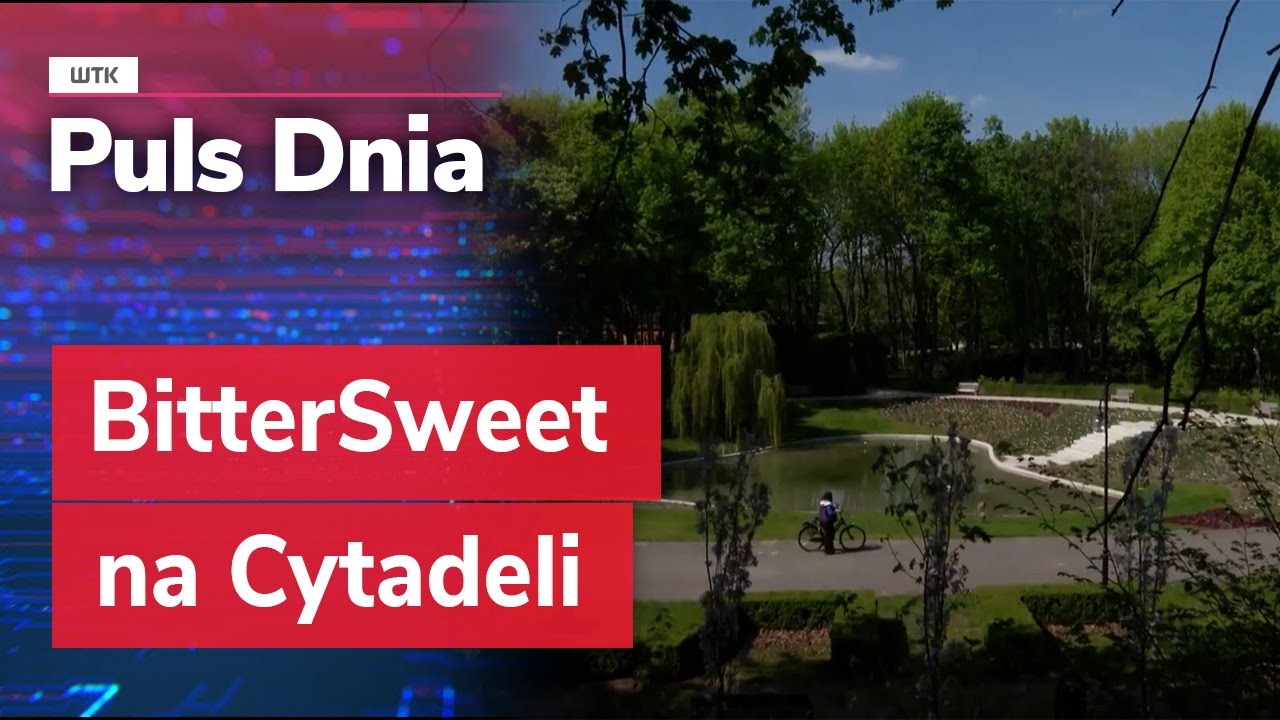 BitterSweet na Cytadeli: Słodko-gorzkie emocje wok&oacute;ł festiwalu