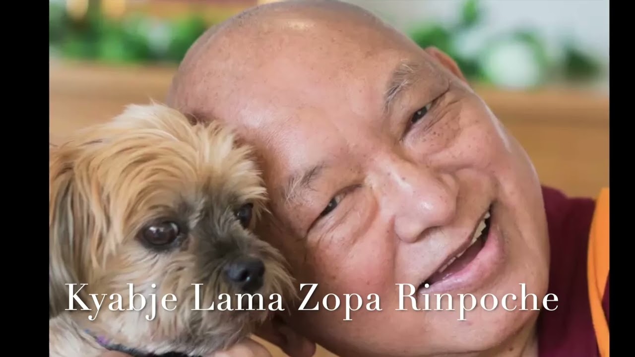 Because of You - Kyabje Lama Zopa Rinpoche