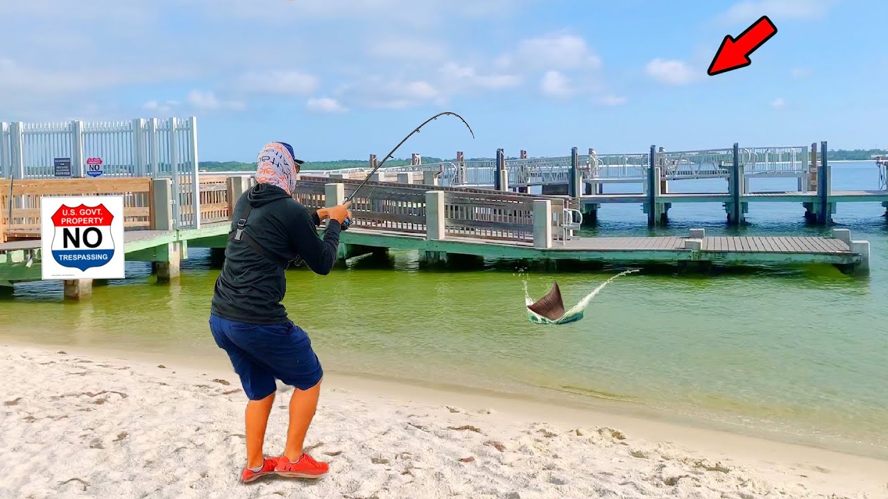 Crushing Fish at a US Government Pier for 1 Hour!