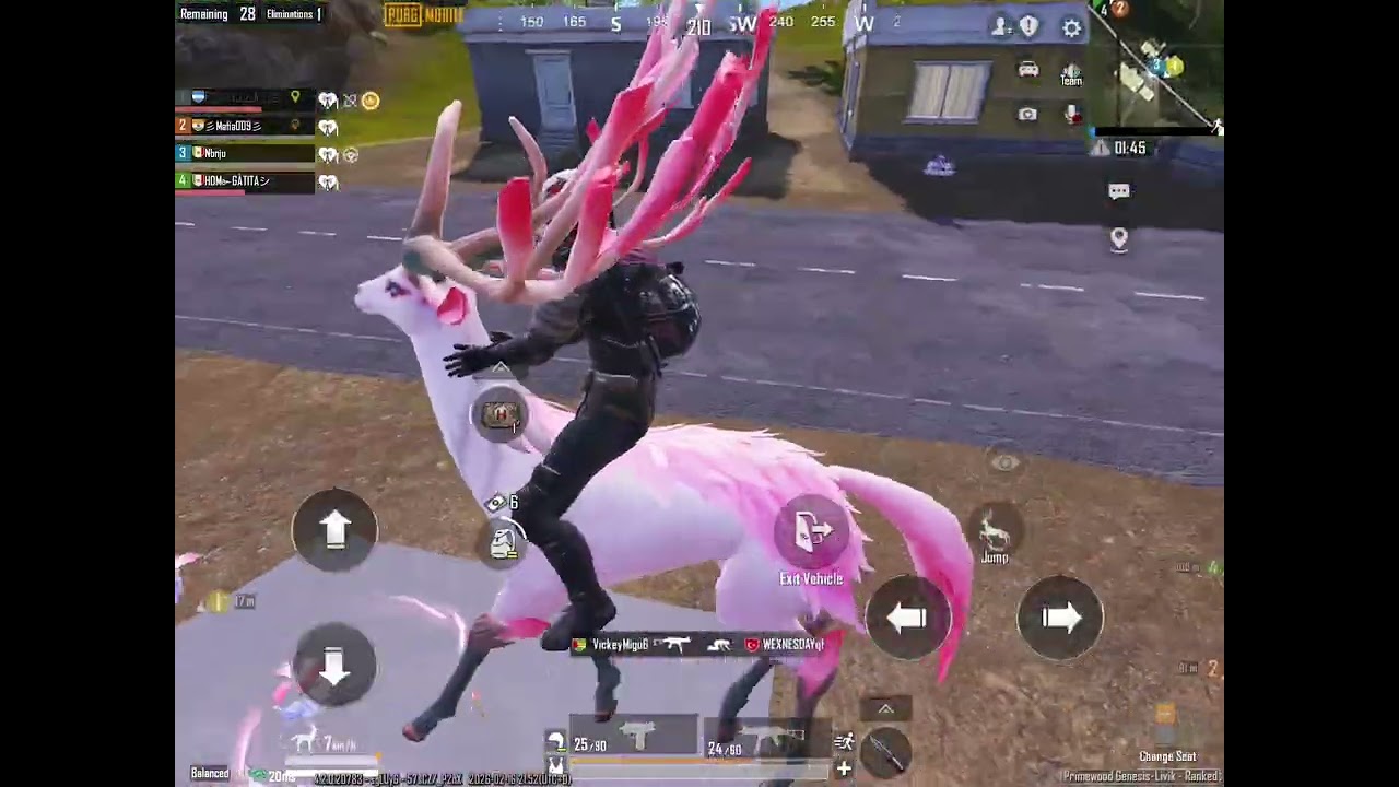 PUBG let’s have some fun with a Swan Off