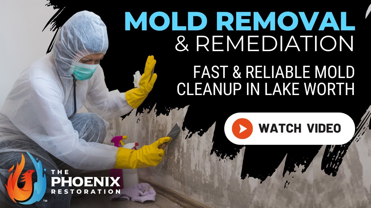 Mold Removal Lake Worth FL | 954-866-8408 | The Phoenix Restoration #moldremoval