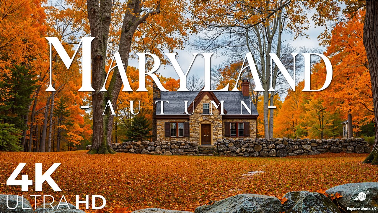 Maryland jesienią 4K UHD 🍂 Oszałamiające jesienne liście, malownicze lasy i spokojne krajobrazy
